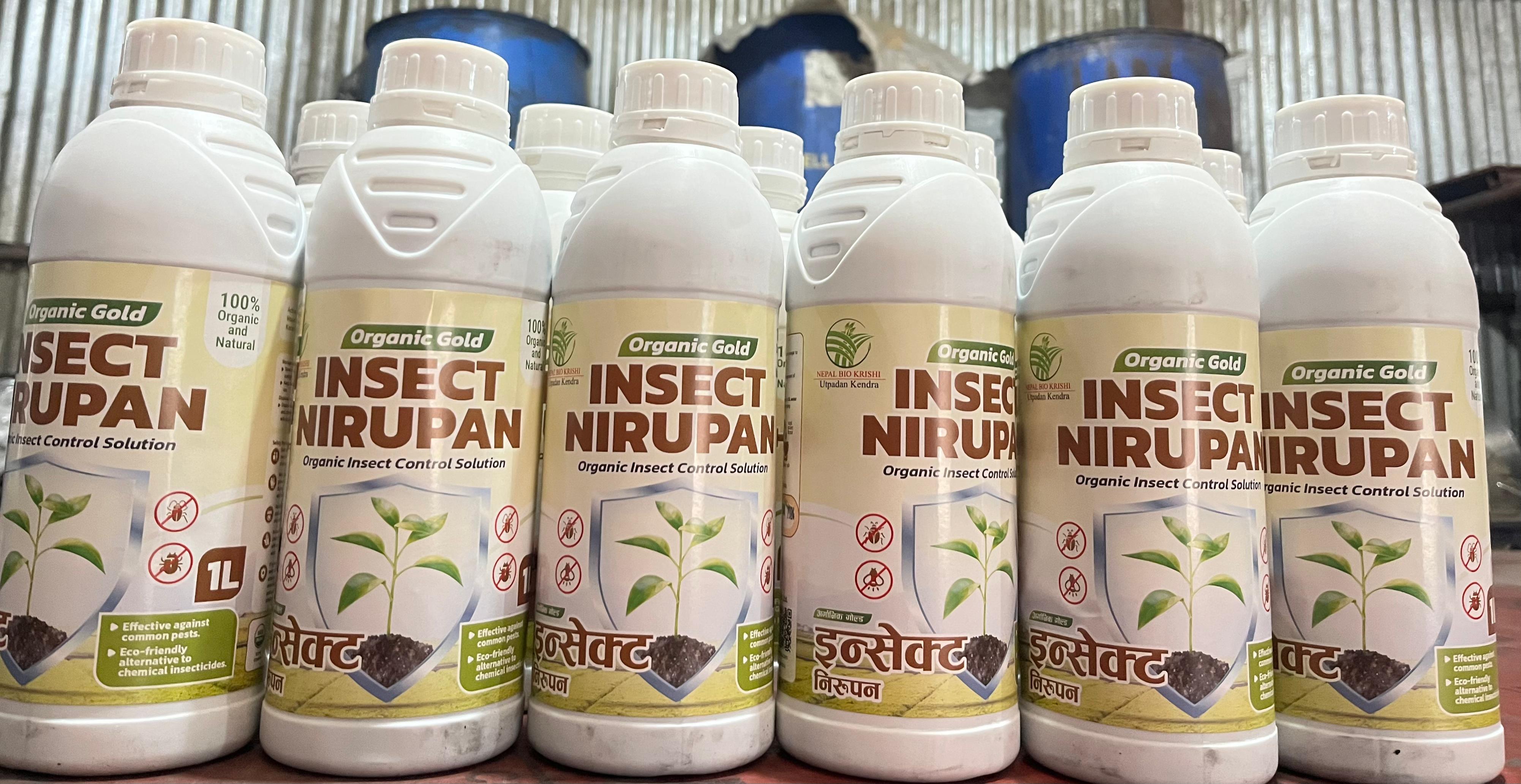 Insect Nirupan